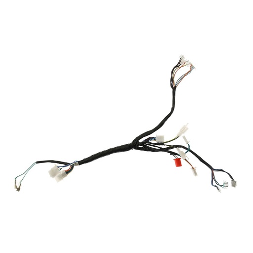 [F06050241] ARNES SECUNDARIO