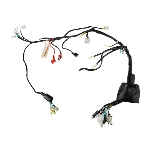 [F06050248] ARNES PRINCIPAL