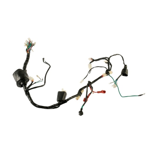 [F06050250] ARNES PRINCIPAL