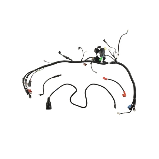 [F06050255] ARNES PRINCIPAL