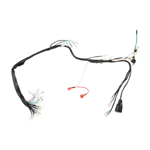 [F06050259] ARNES PRINCIPAL