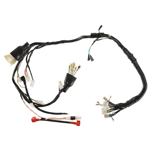 [F06050261] ARNES PRINCIPAL