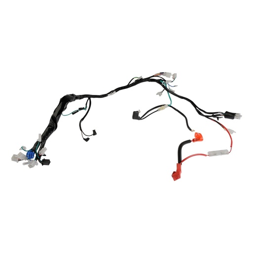 [F06050262] ARNES PRINCIPAL