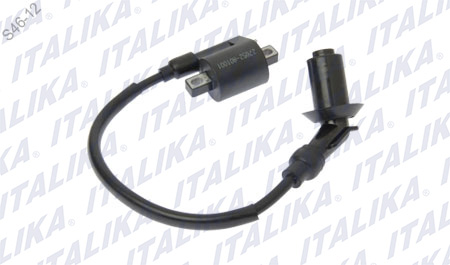 [F06060034] BOBINA DE IGNICION