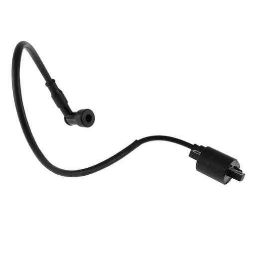 [F06060088] BOBINA IGNICION