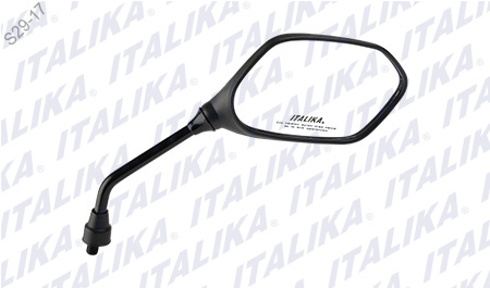 [F10010230] ESPEJO DERECHO