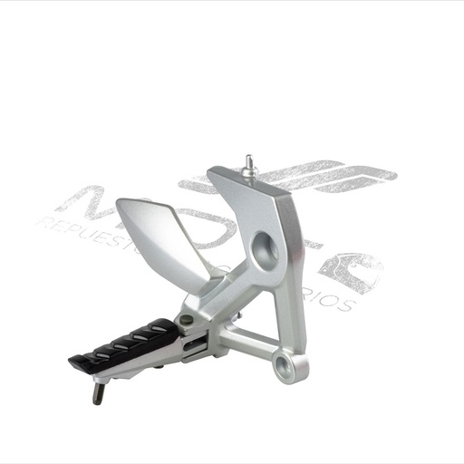 [F11010188] CONJUNTO POSAPIE DEL DER