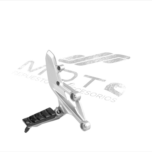 [F11010272] CONJUNTO POSAPIE DEL DER