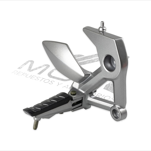 [F11010426] CONJUNTO POSAPIE DEL DER