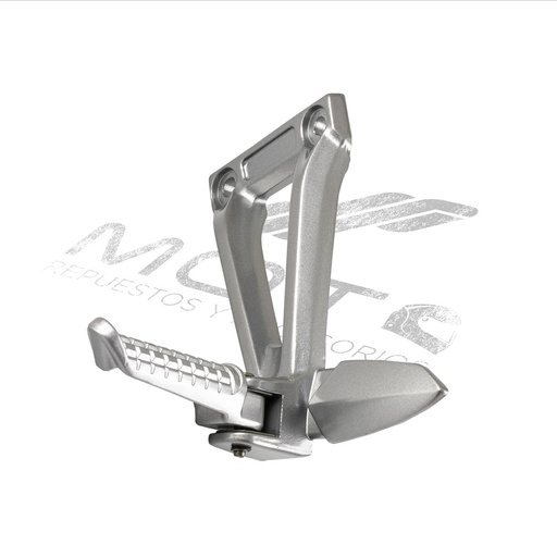 [F11010429] CONJUNTO POSAPIE TRAS IZQ