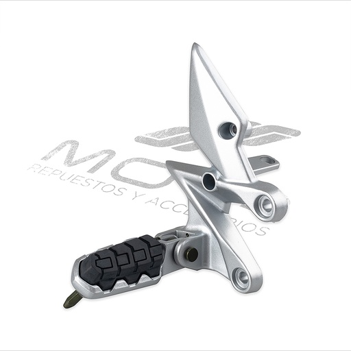 [F11010455] CONJUNTO POSAPIE DEL DER