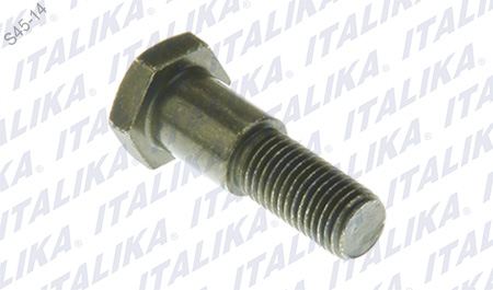 [F11020100] TORNILLO PARADOR LATERAL