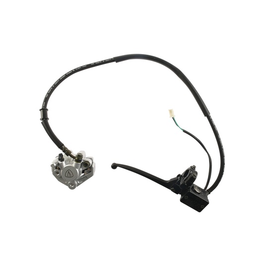 [F14020699] SISTEMA FRENO DEL PLATA CON ISOTIPO