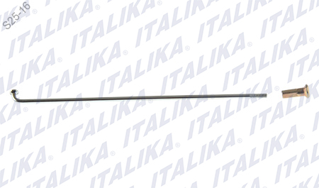 [F14030179] RAYO INT RIN DEL