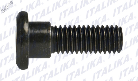 [F14050003] TORNILLO DISCO DE FRENO M8 X25