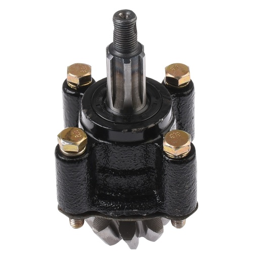 [F24020015] CONJUNTO PIÑON